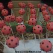 Pink Lady Bugs Cakepops